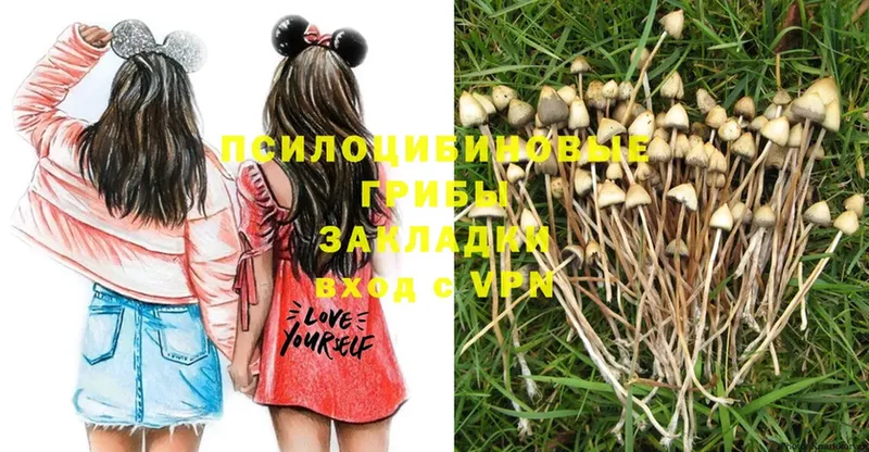 Псилоцибиновые грибы MAGIC MUSHROOMS  Бородино 